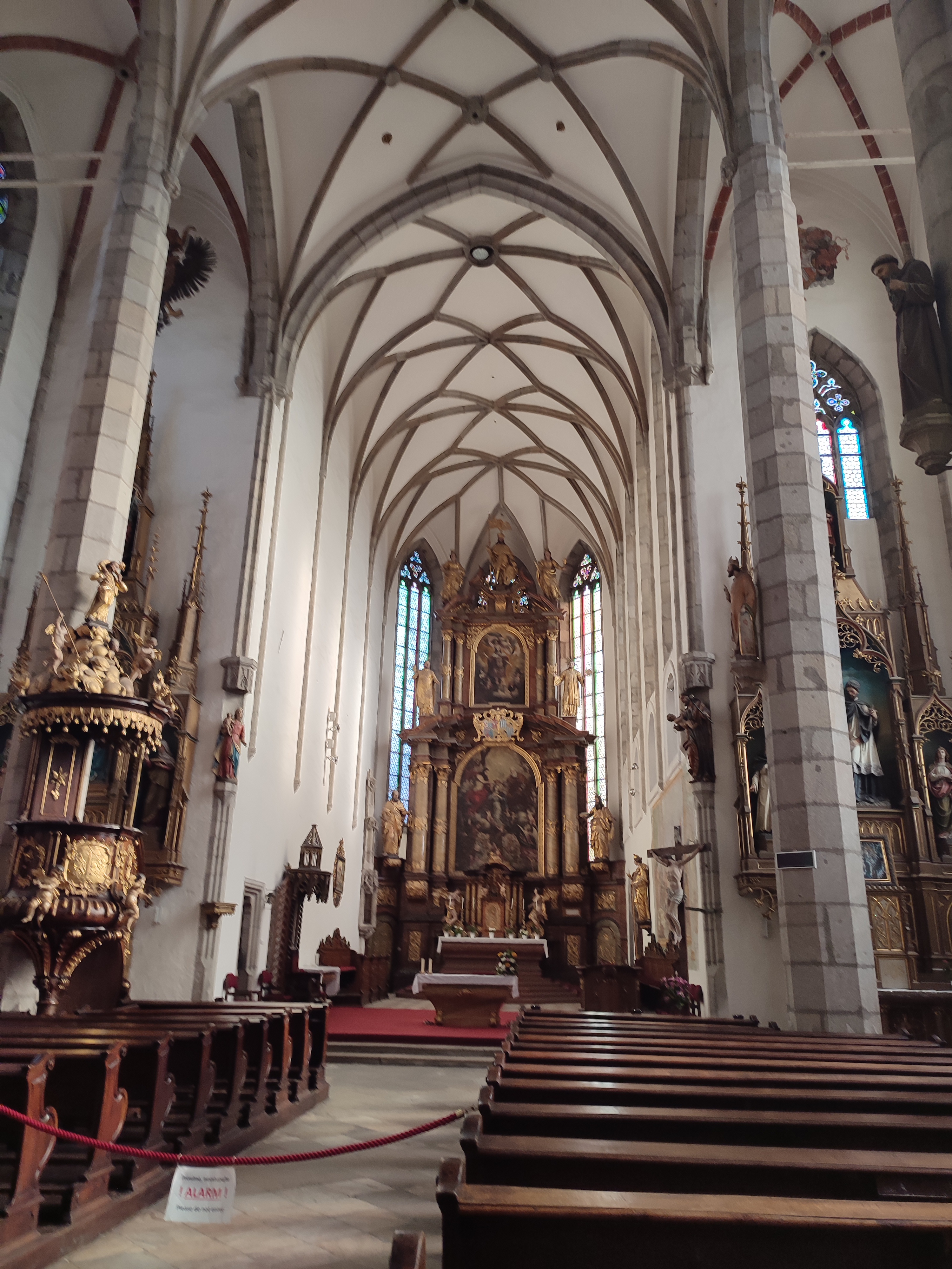 IMG 20231101 105308.jpg