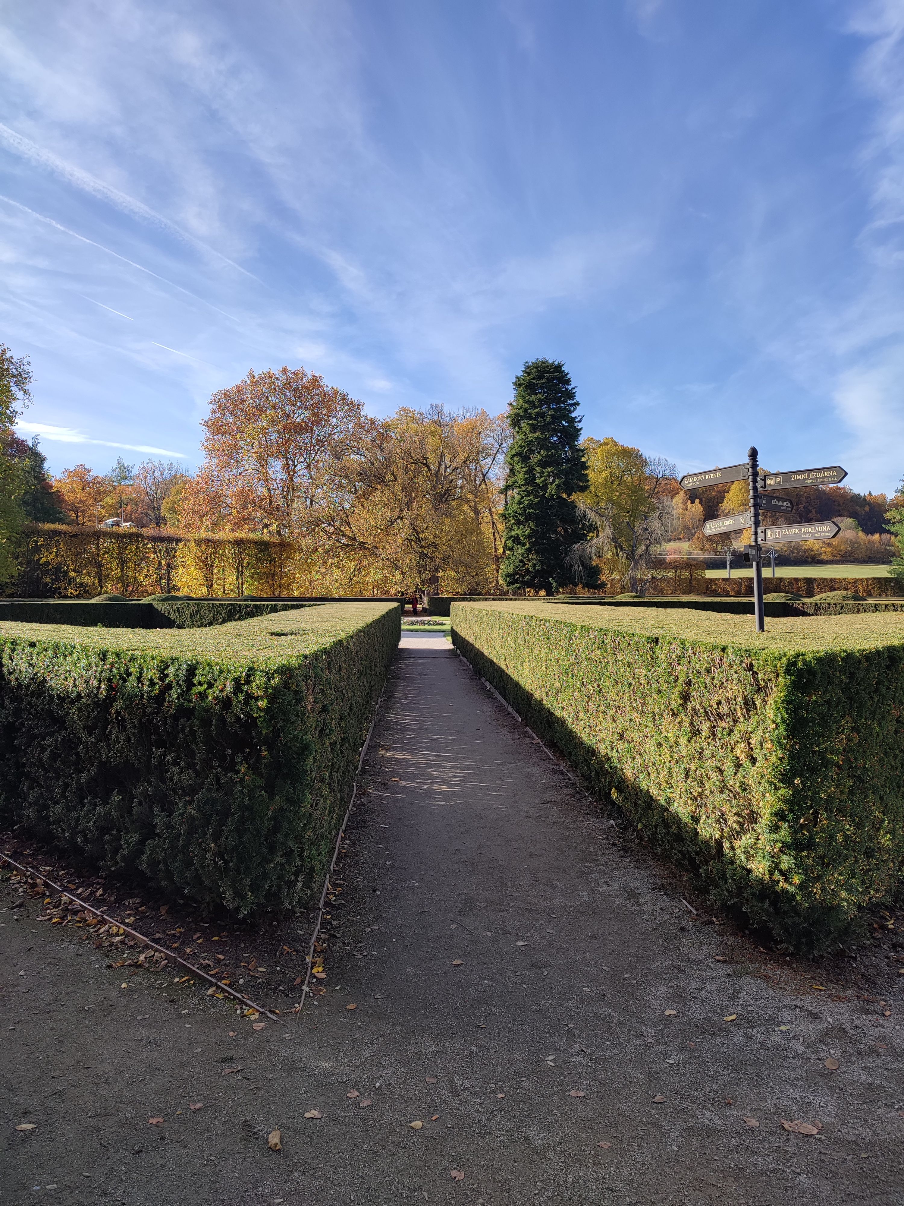 IMG 20231101 133600.jpg