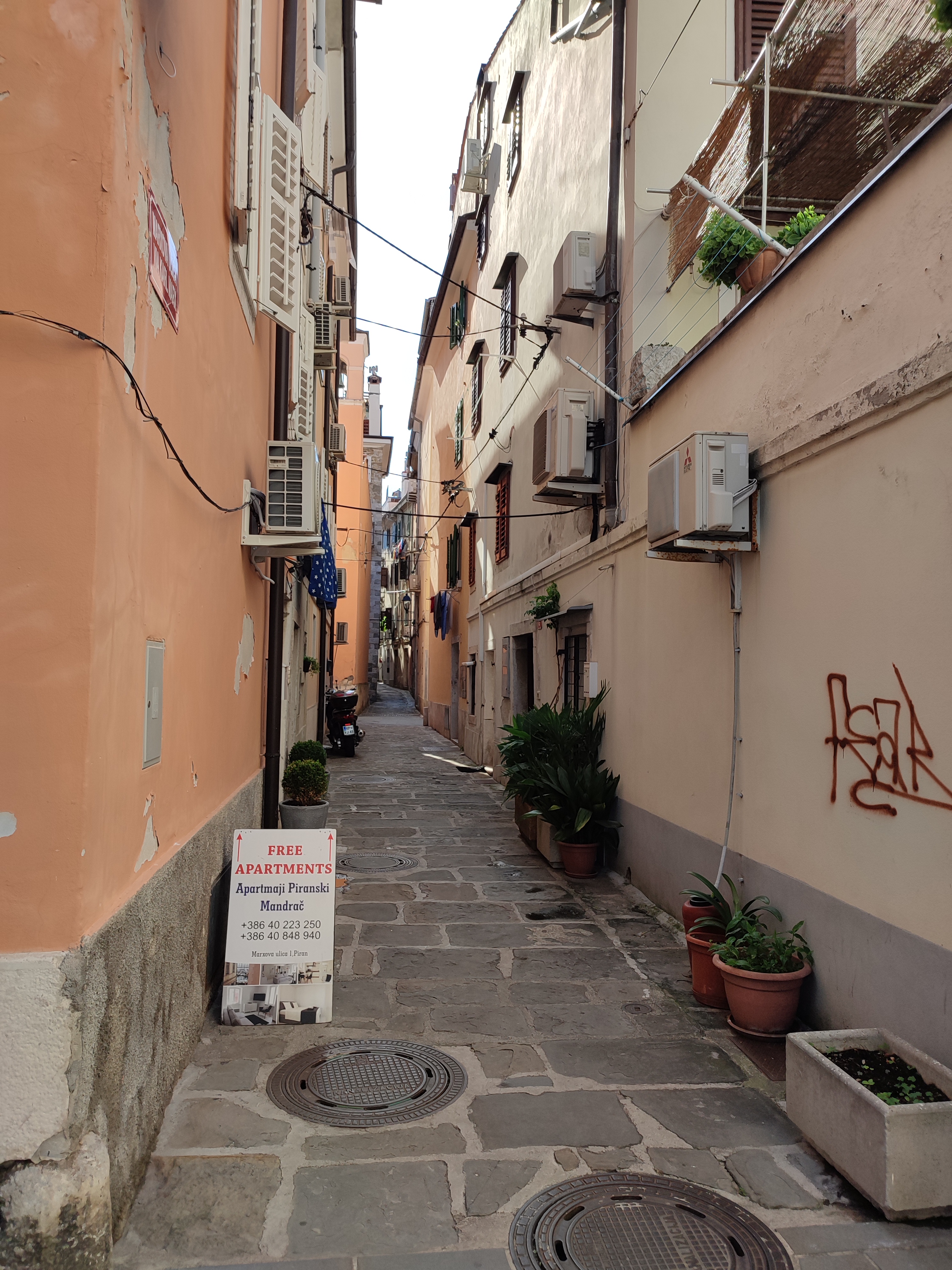 IMG 20230728 085859.jpg